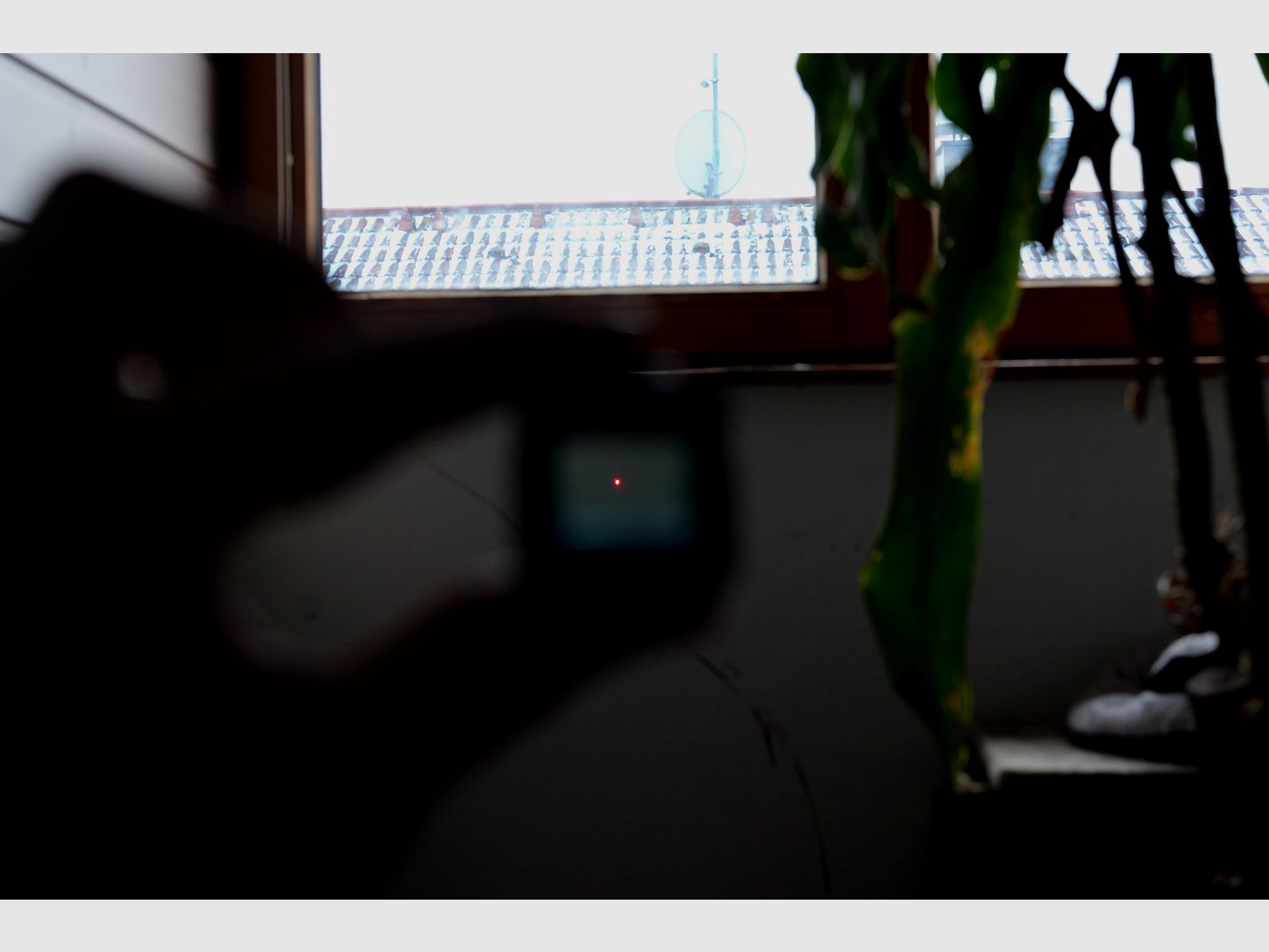 Steiner MPS Reddot Rotpunkt Reflexvisier