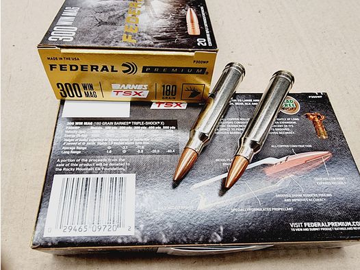 .300WinMag/180 grs. Federal Barnes TSX 20 stk. bleifrei