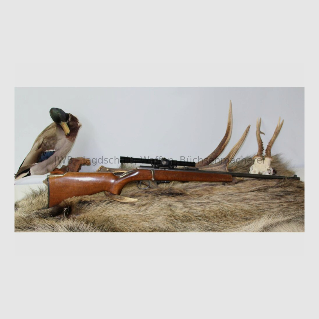 Anschütz 1400 .22lr