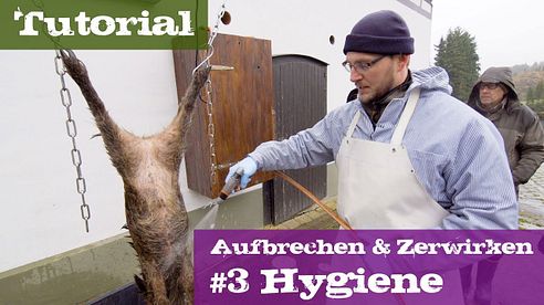 #3 Hygiene - Schwarzwild - Lehrgang Aufbrechen & Zerwirken