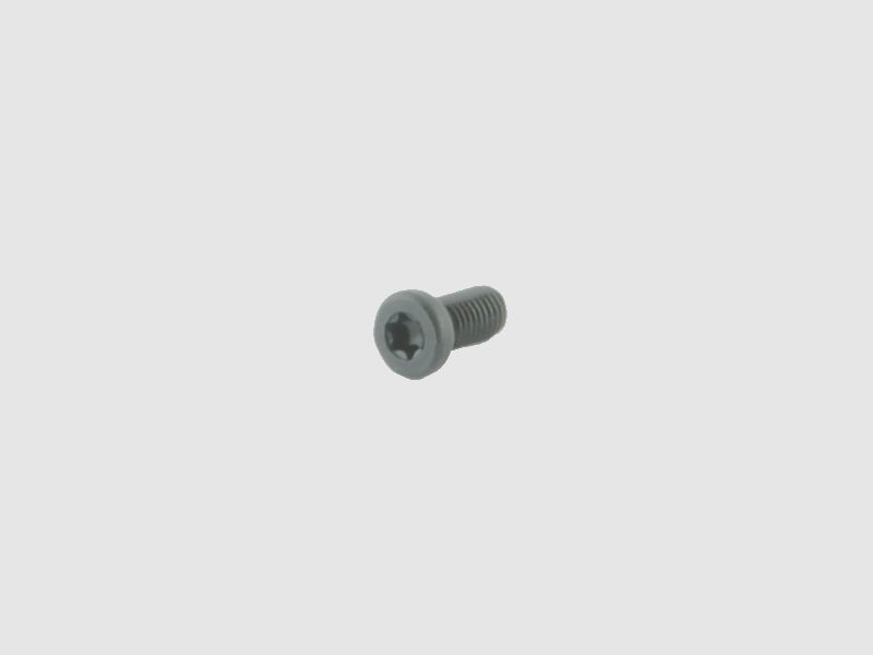 Spuhr T10 screw for Spuhr SS Sauer series