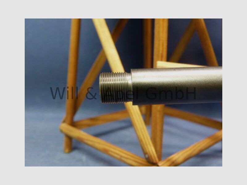 BLASER/ ISNY R93 TIMBER