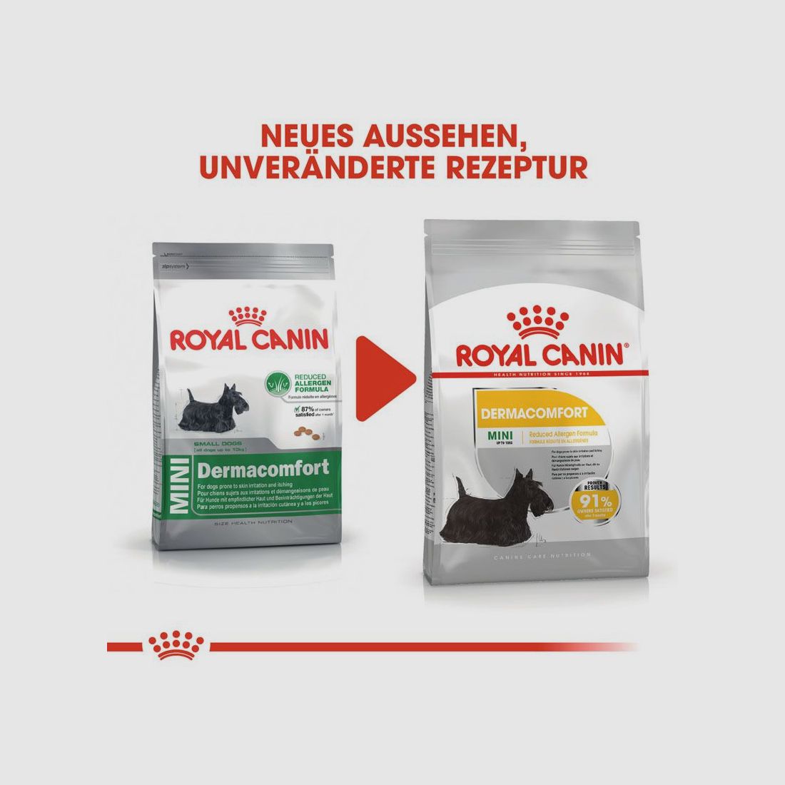 ROYAL CANIN Kleine Hunde Trockenfutter Dermacomfort Mini für empfindliche Haut
