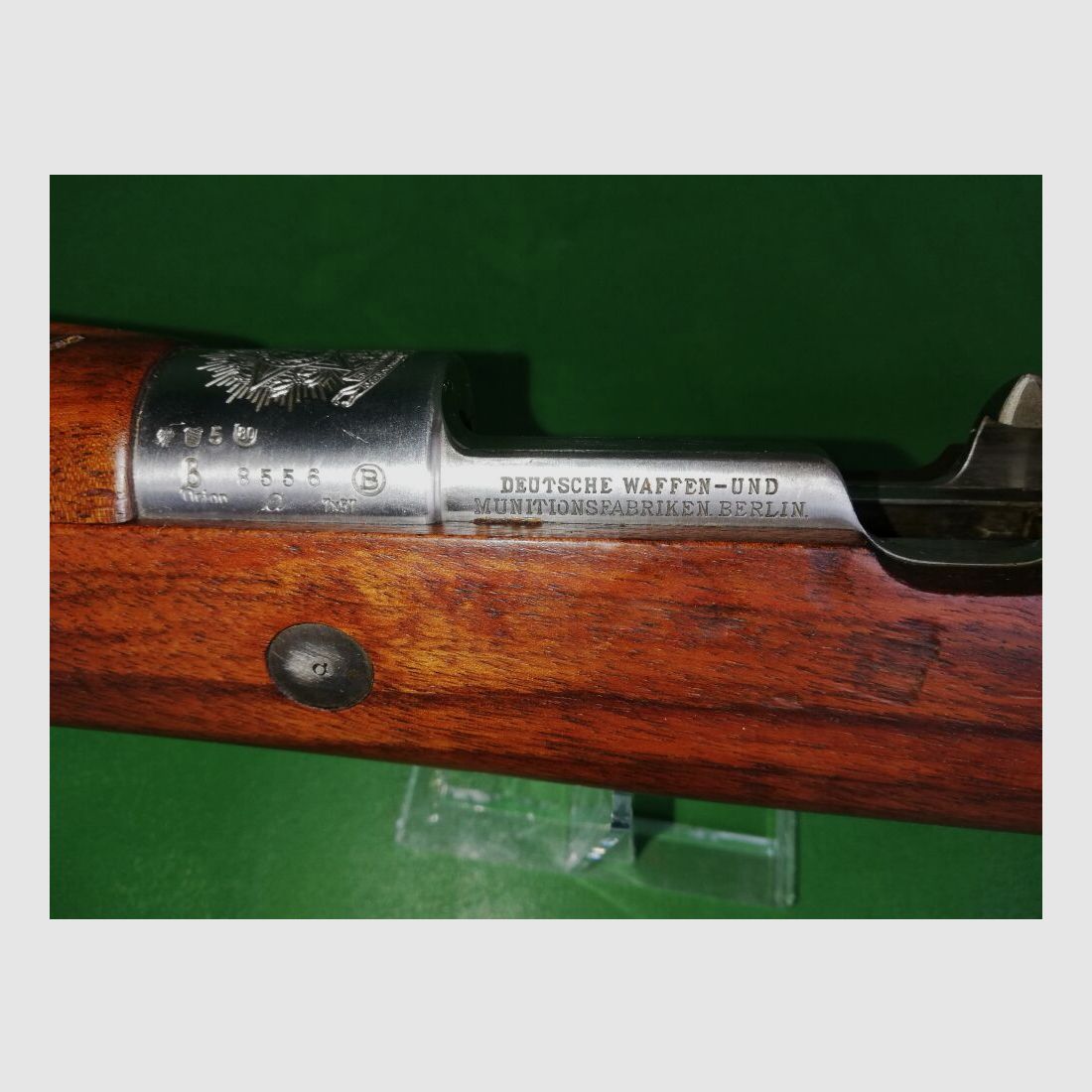 Brasilienmauser 1908