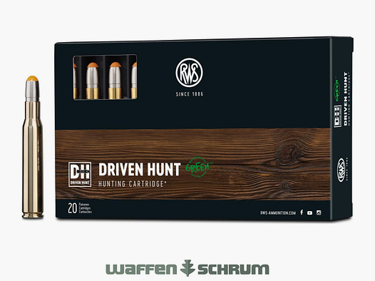 RWS Driven Hunt 10,7g - 165gr .30-06Spring
