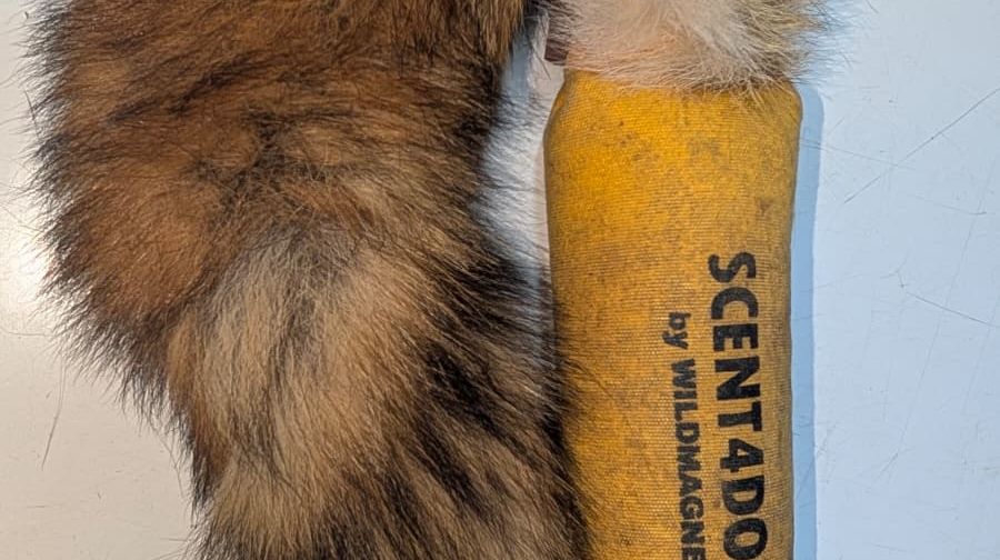 Nachhaltigkeit mit Federn und Pelzen für die Hundeausbildung - Dummy DIY