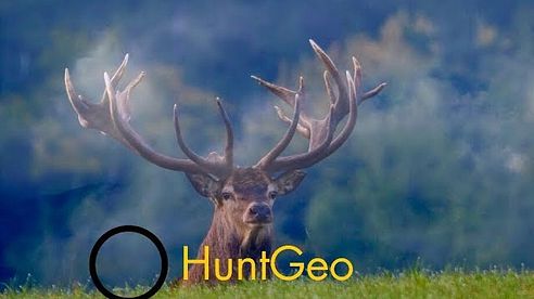 Red stag hunt in Austria - Hirsch Jagd in Österreich