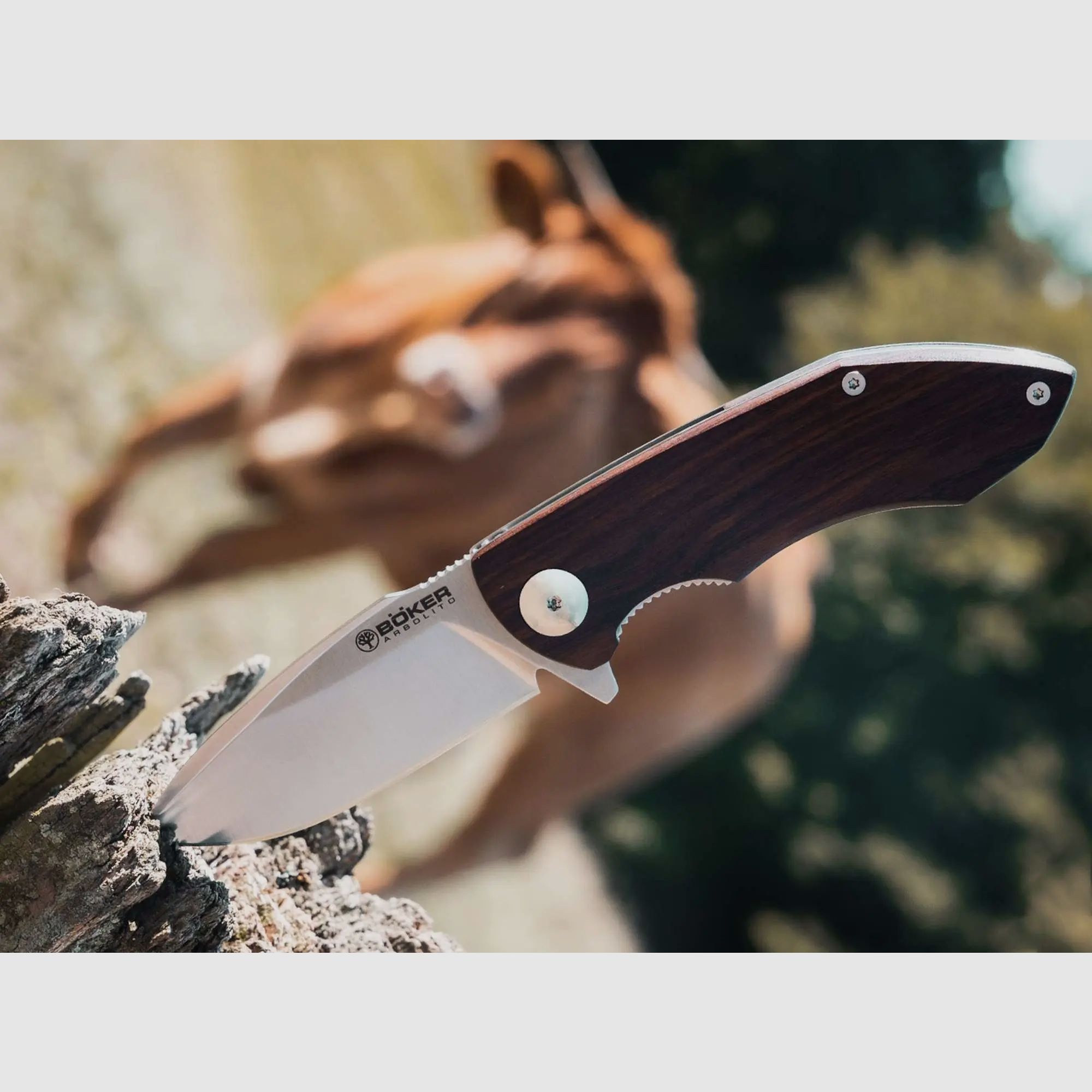 Böker Arbolito Folder Nahuel Guayacan