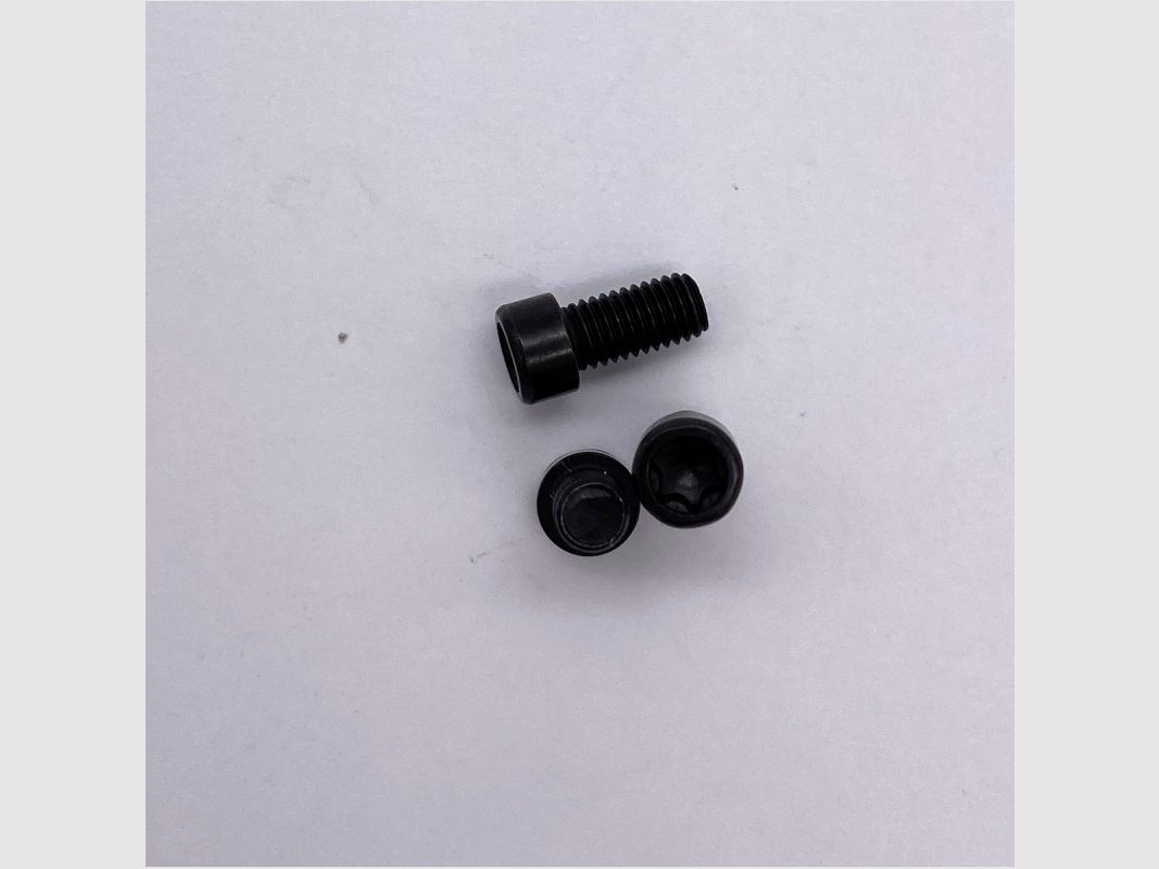 STEYR SCREW FOR ORIGINAL STEYR PICATINNY MOUNTING RAILS