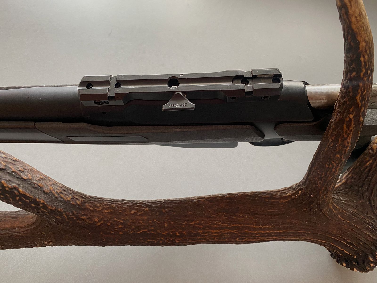 Sauer 202 carbon stock caliber 308