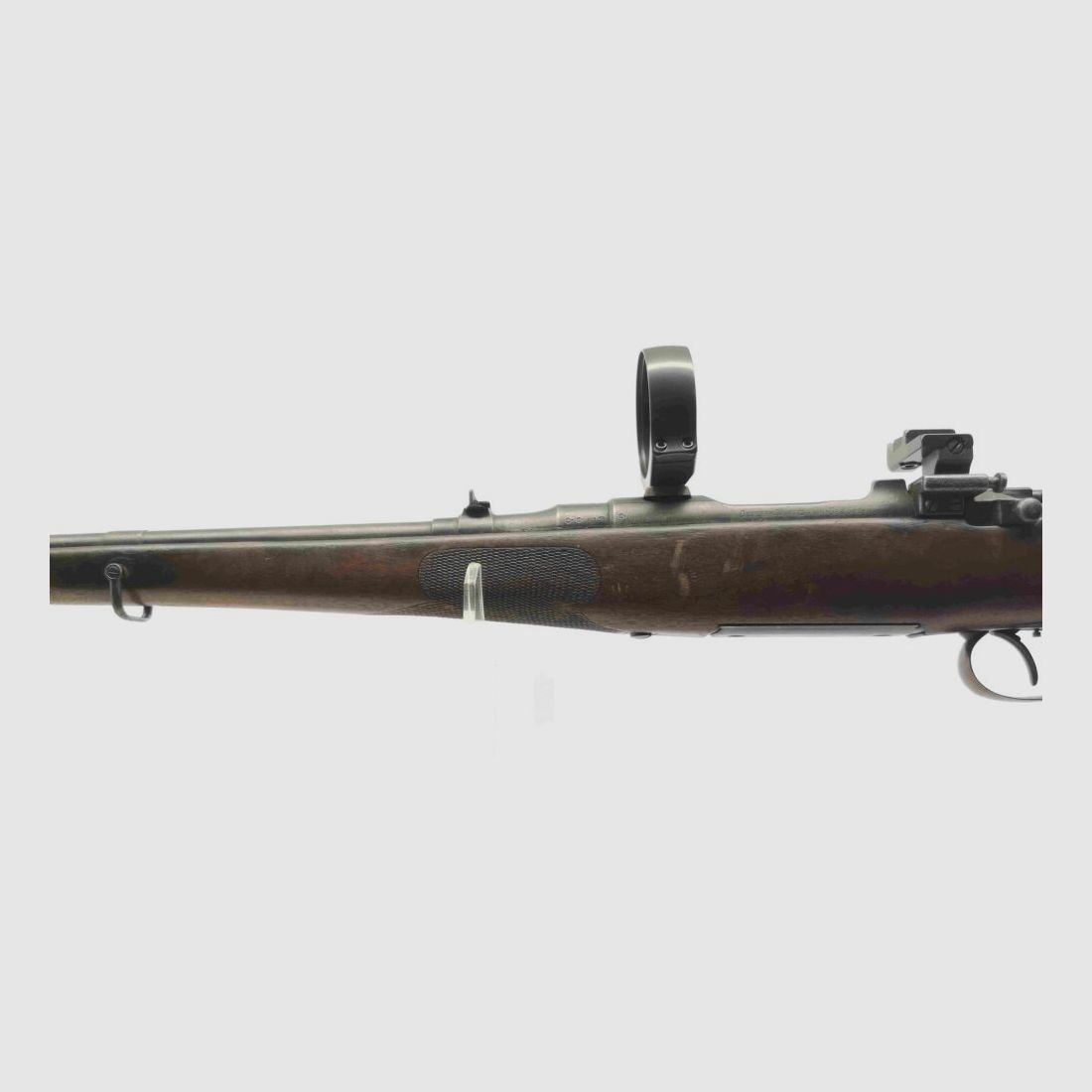 OEWG hunting season