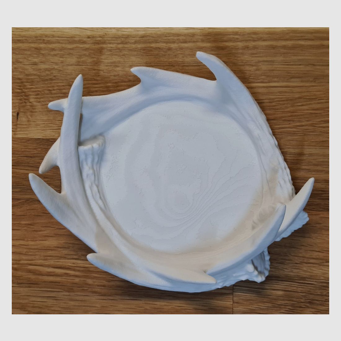 Deko-Schale "Abwurfstangen"