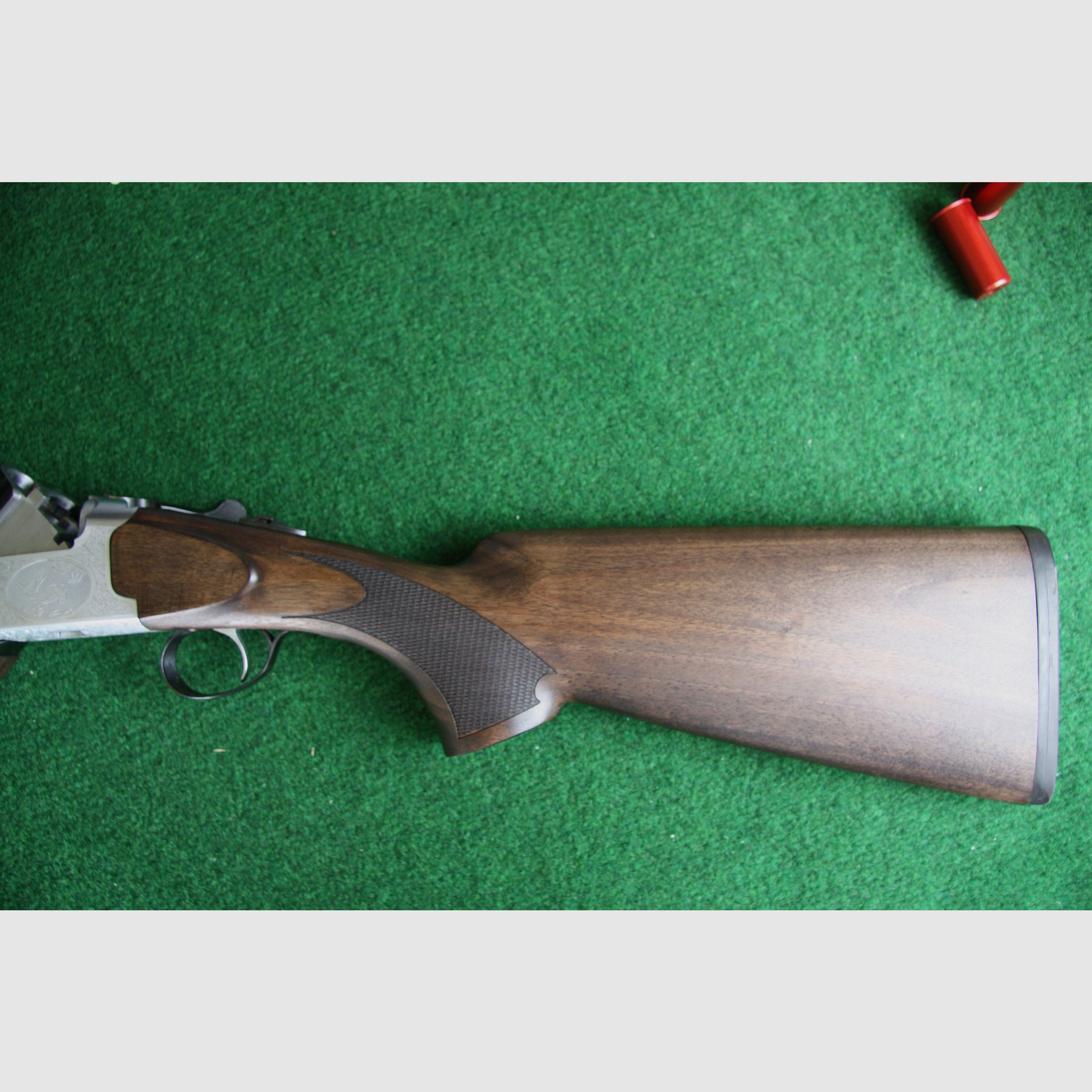 Forest Favorite 12 /76 71 cm