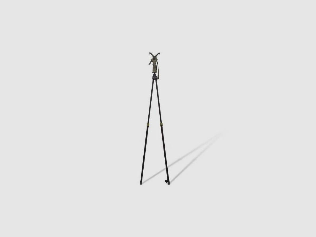 Bipiede GEN 2, immagine 1 di 2