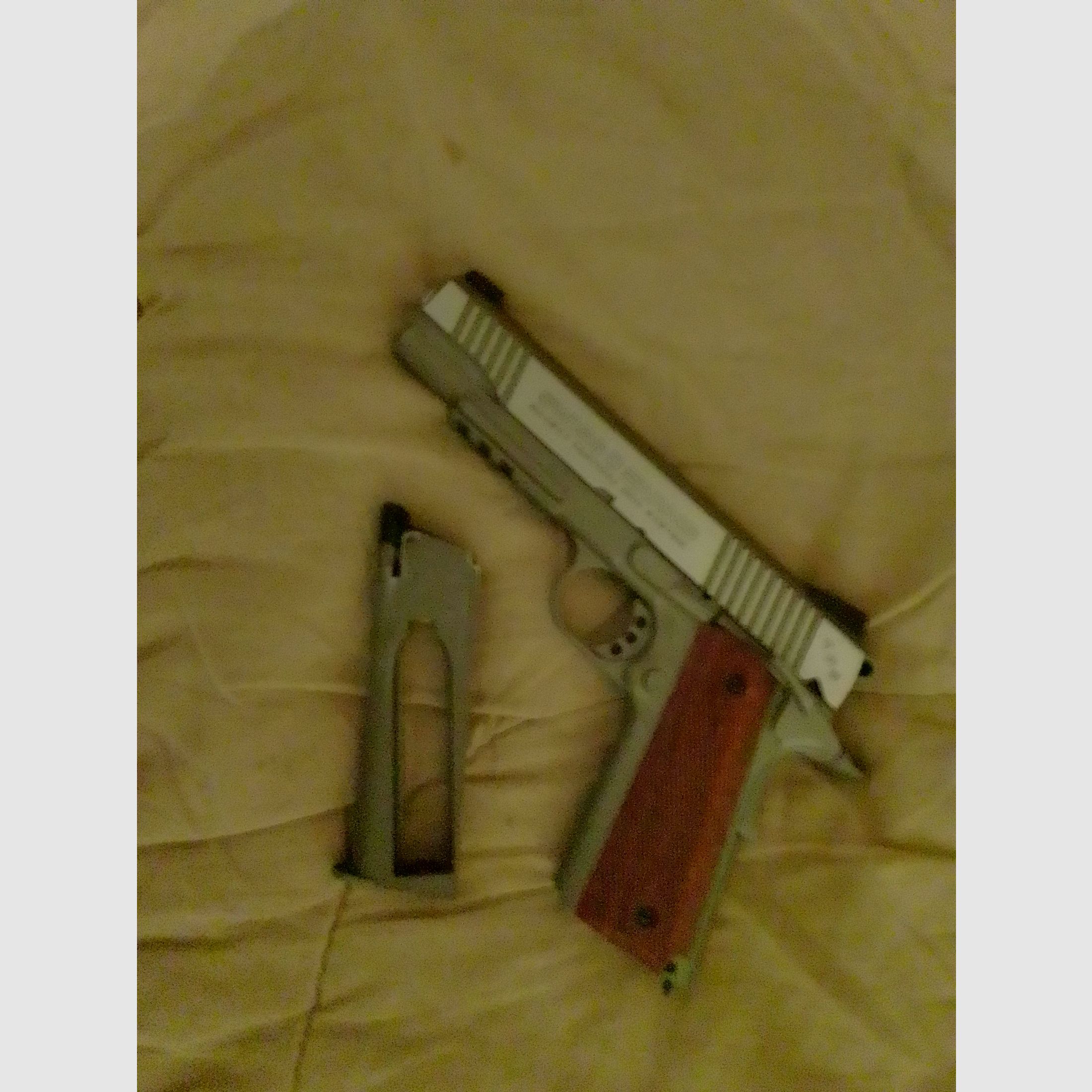 Swiss Arms P1911