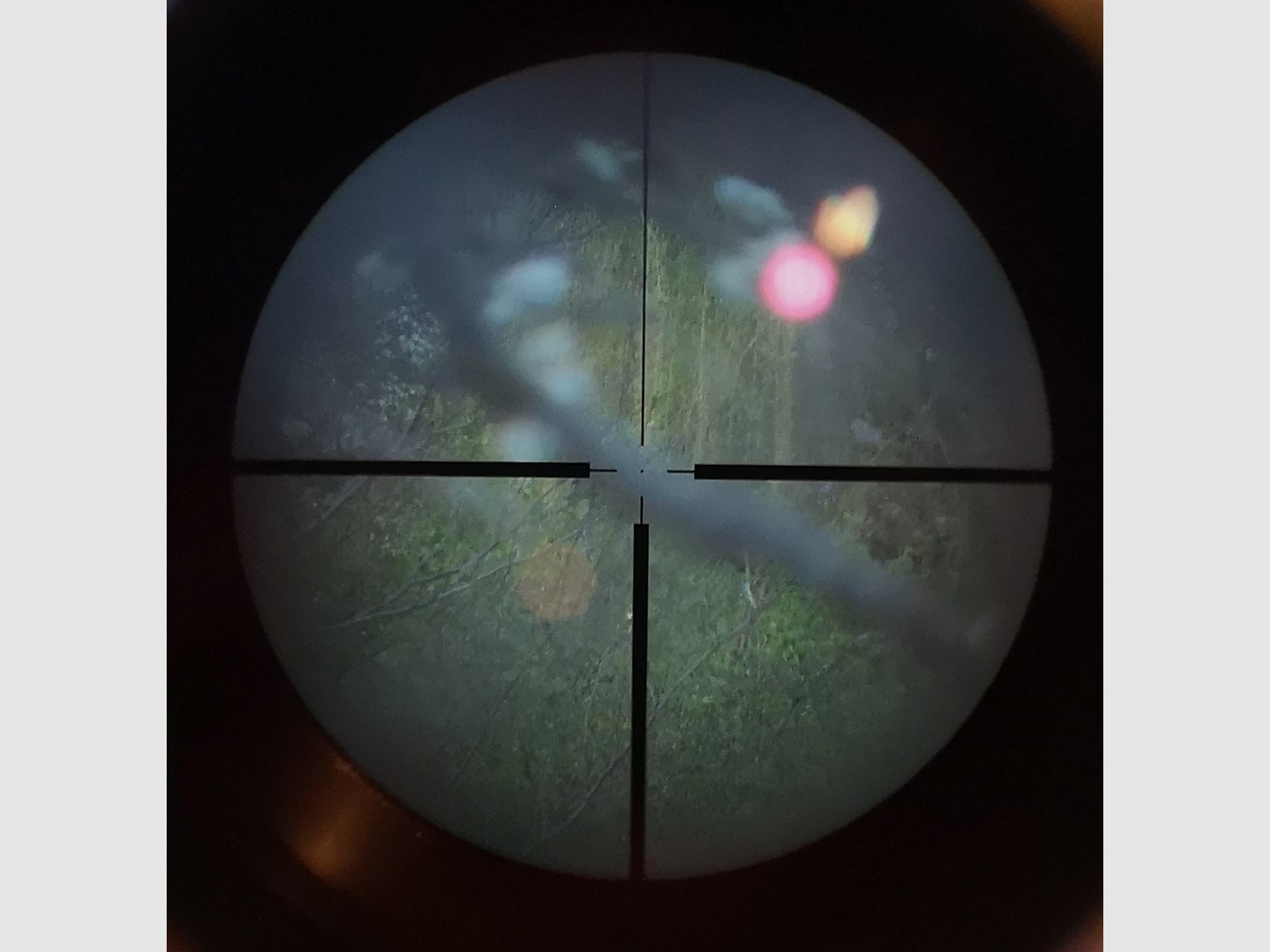 KAPS 8x56 riflescope from Asslar/Wetzlar including original Blaser saddle mount