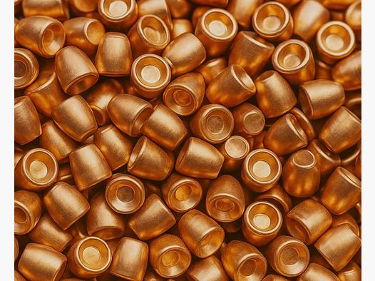 AEA Megalodon Challenger Slugs Kal. 495 / .50