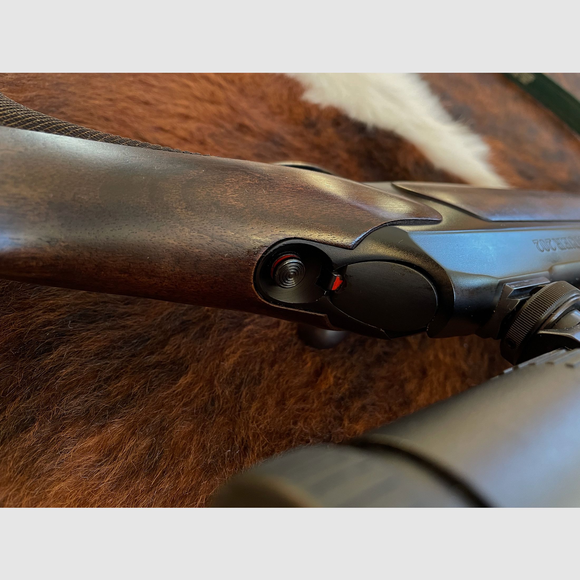 Sauer 202 | Cal. .30-06 | Zeiss Diavari 2,5-10x50 (point lumineux)