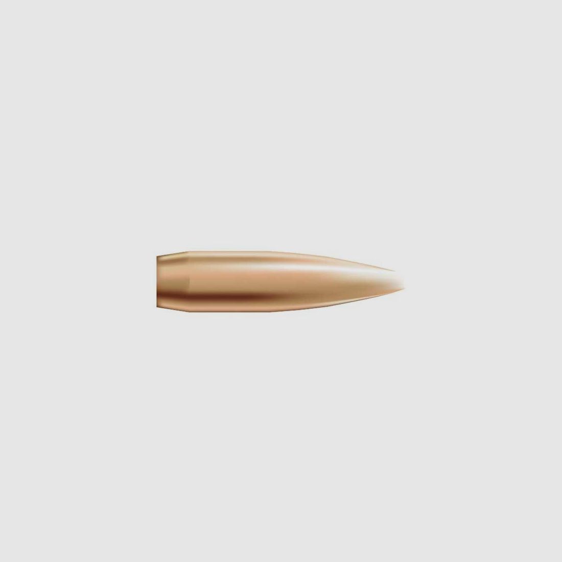 NOSLER 22 CALIBER (0.224″) 80GR HOLLOW POINT BOAT TAIL 1,000/BOX, imagen 1 de 2