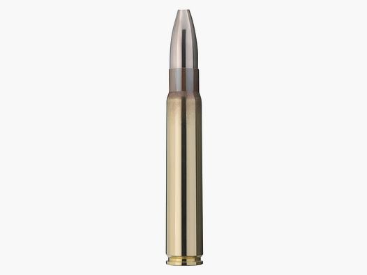 RWS 9,3 x 62 Cineshot 12,7g 196gr Langwaffenmunition 30 Stück