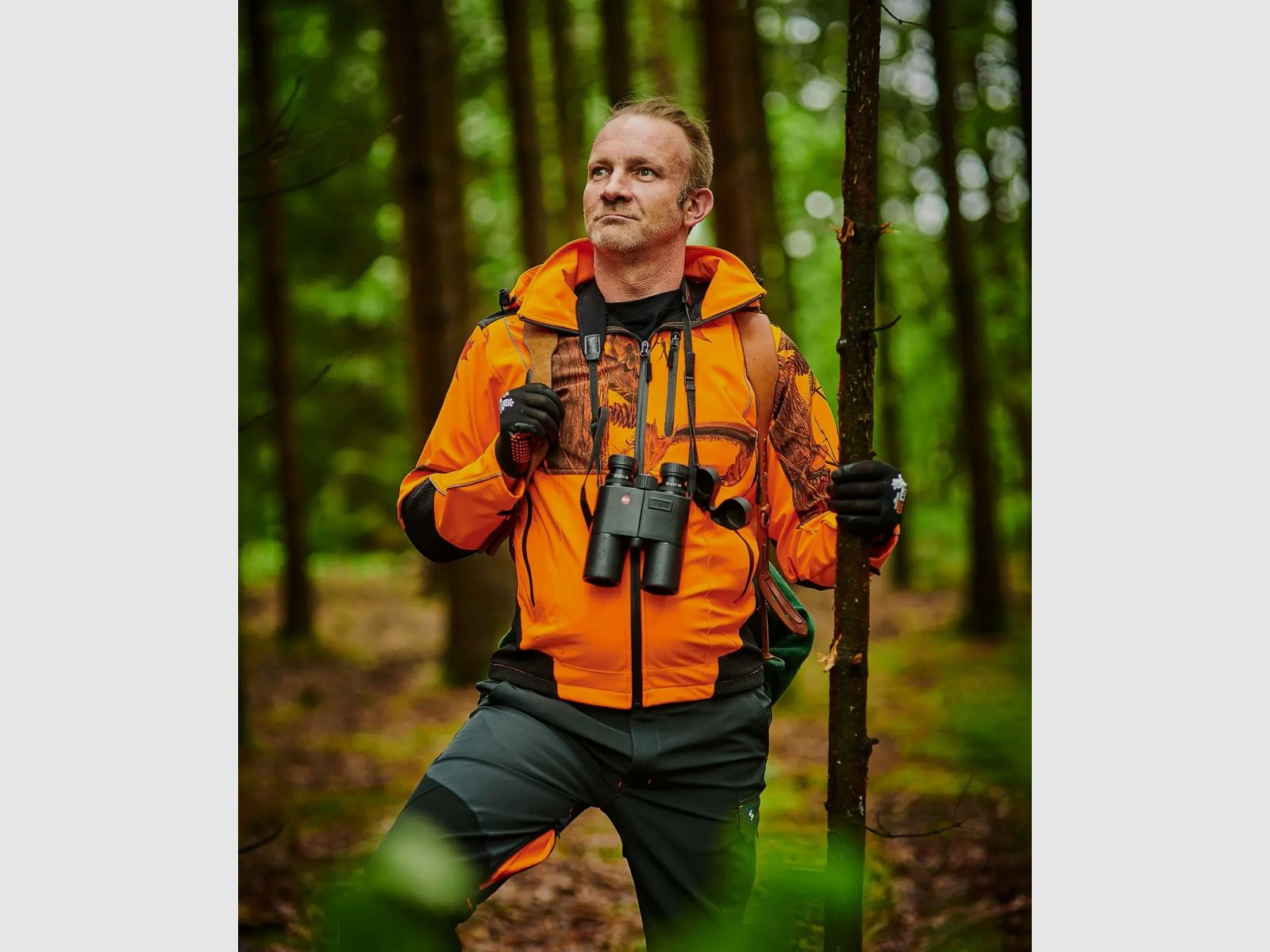 Scheibler Softshelljacke Birke