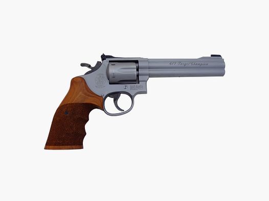 Smith & Wesson Target Champion