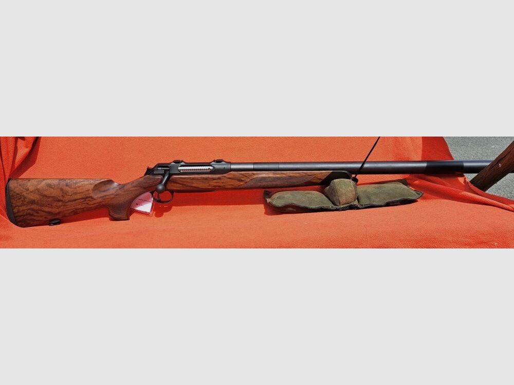 SAUER	 404 SILENCE TI