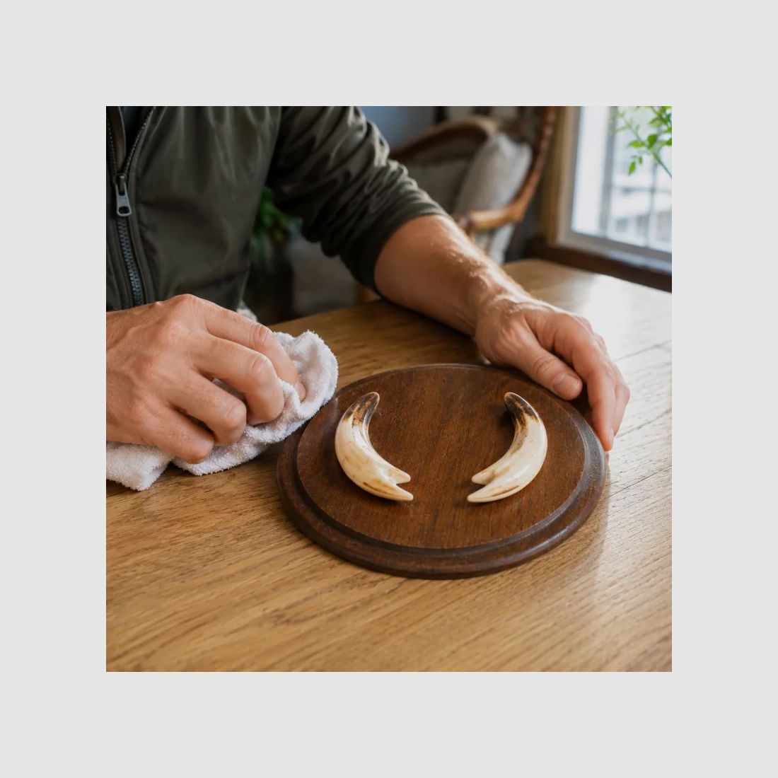 Plateau Rond Trophée chasse défense sanglier chêne foncé ciré Ø 16 cm, image 1 sur 5
