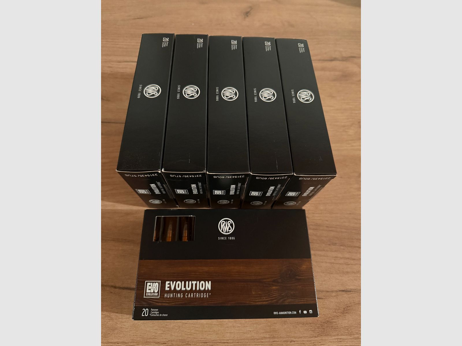 Munition RWS EVOLUTION .30-06 11,9g