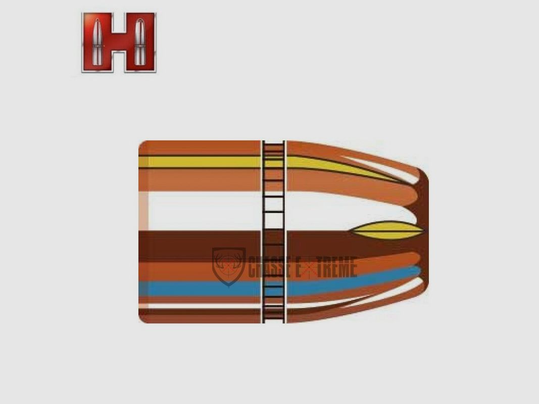 100 Proiettili HORNADY 38 cal 357-110Gr Xtp