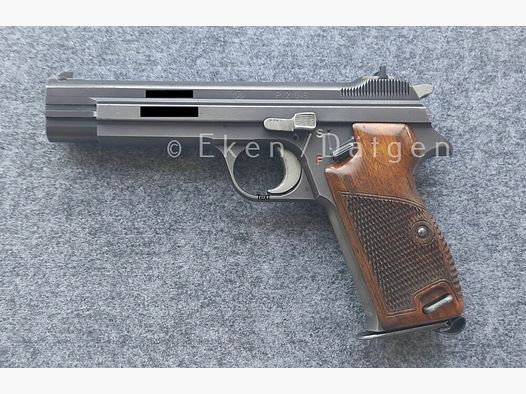 <SIG P210 - 6>