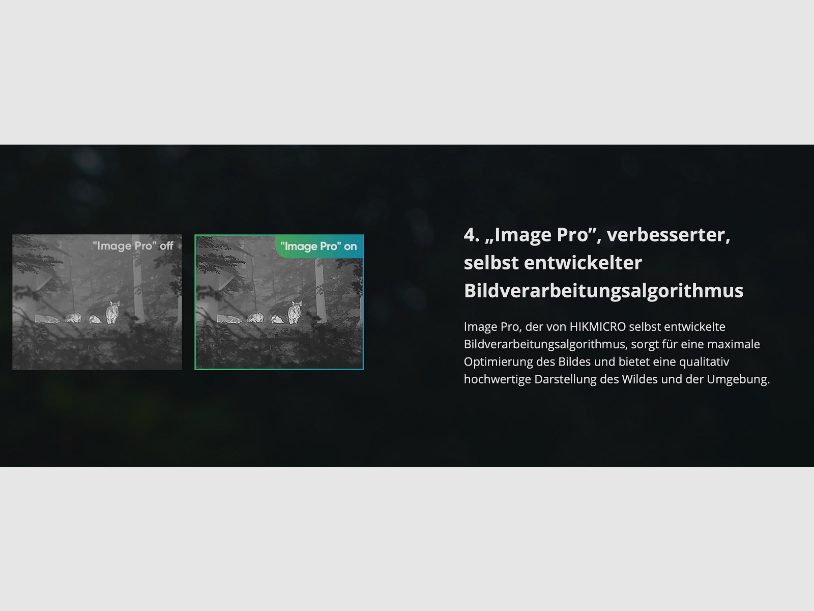 HIKMICRO 50-2-074 FALCON FQ50 thermal imaging camera 612 x 544 px 12µm pitch 20 mK