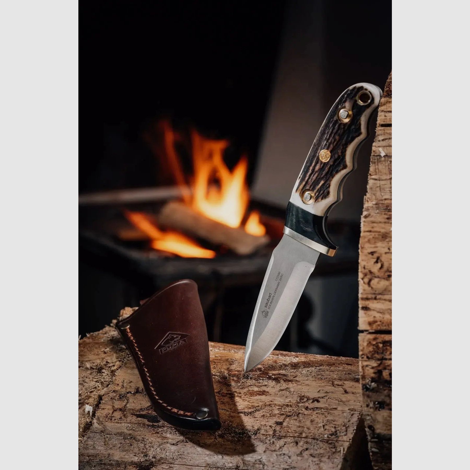 PUMA wild boar, stag horn