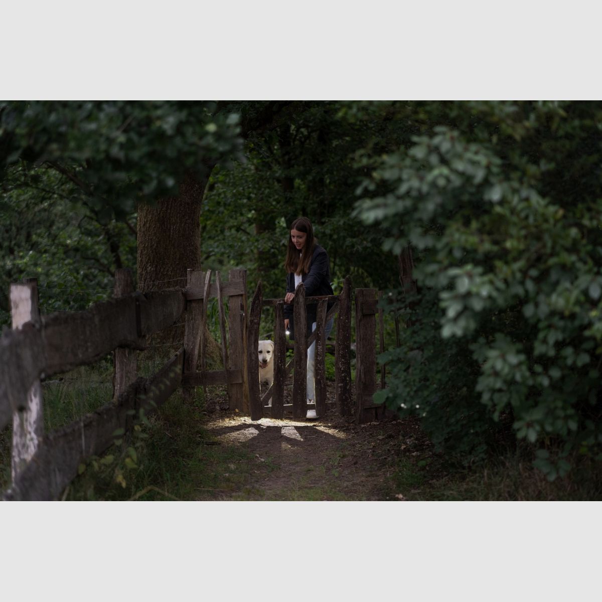 LEDLENSER Taschenlampe P5R Core