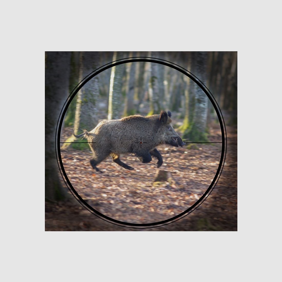 Leica Magnus i 1-6.3×24i 4A, imagen 2 de 3