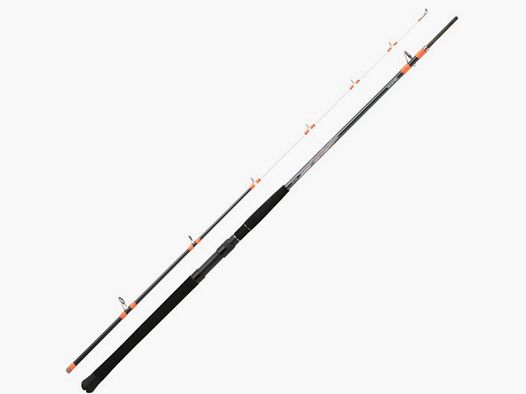 DAIWA MEGAFORCE 2,40M 50-100G