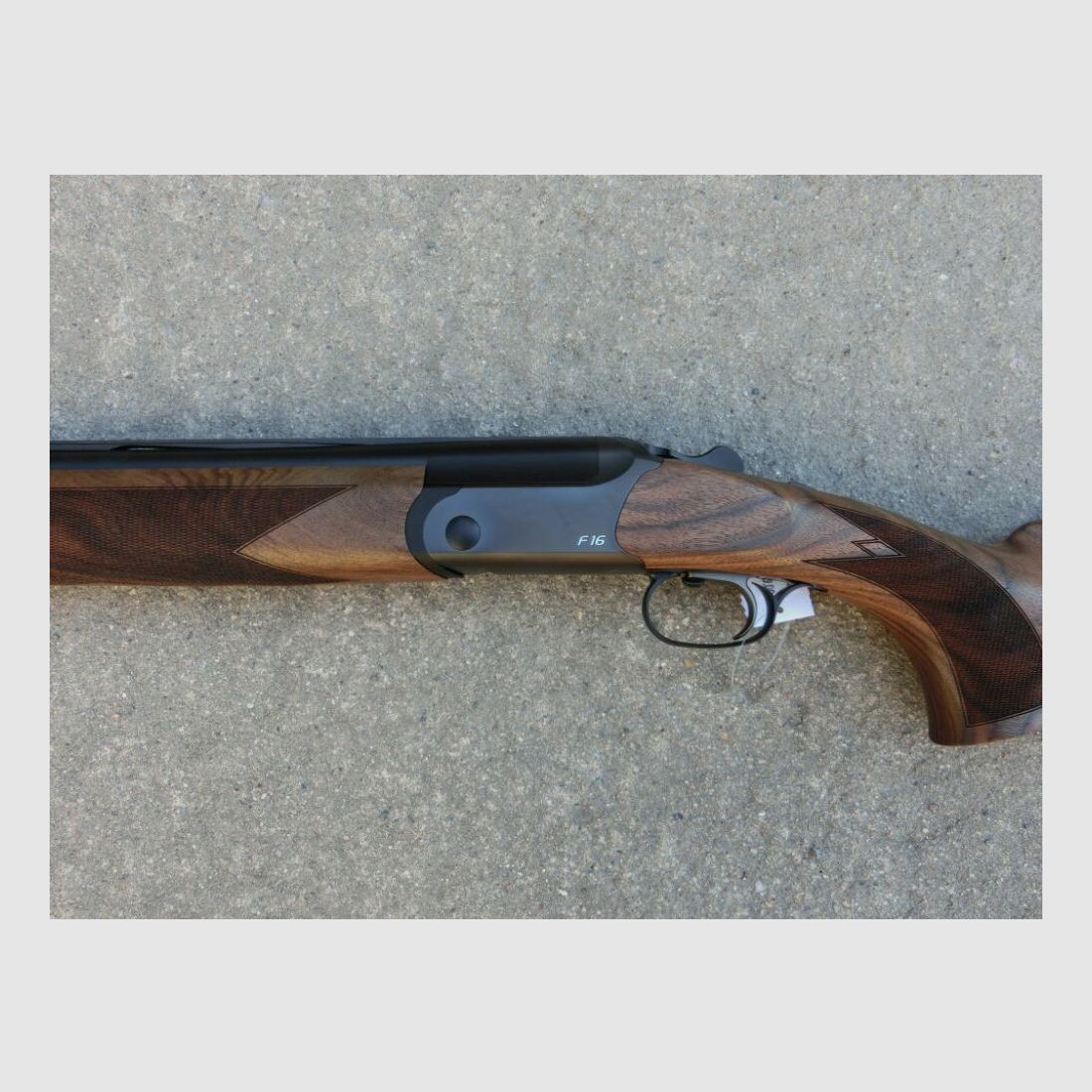 Blaser F16 Game