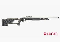 Ruger Rimfire Target Thumbhole Stainless