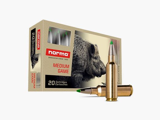 NORMA .300 WSM Ecostrike 10,7g/165gr