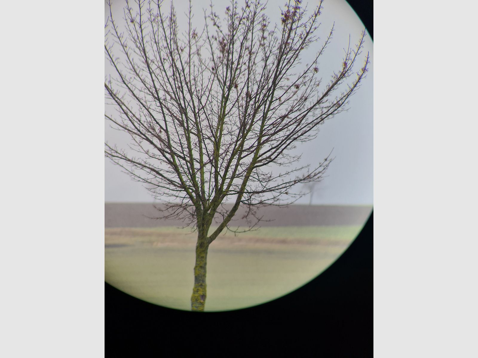 Swarovski Habicht CT 85 Spektiv – Profi-Set inkl. 20-60x Zoom, OVP & Stativ