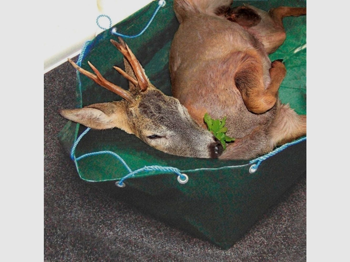 Vouwbare Wildbak voor Bos & Hout