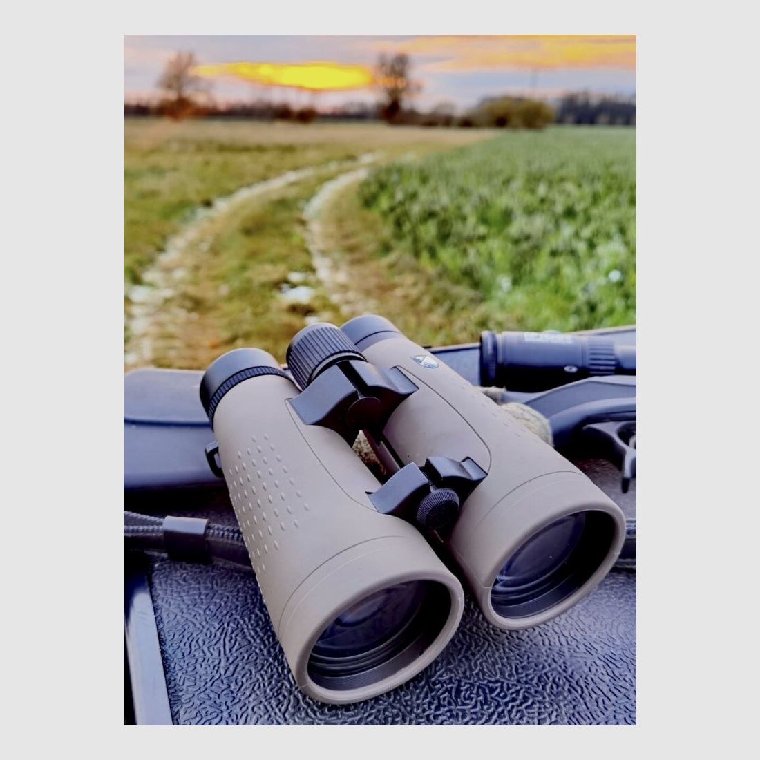 Ddoptics Fernglas-KW Regulus 8x56 HD mit Tasche und Niggeloh Trageriemen