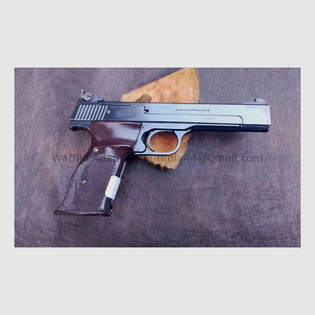 Smith & Wesson Model 41 Sport 1965