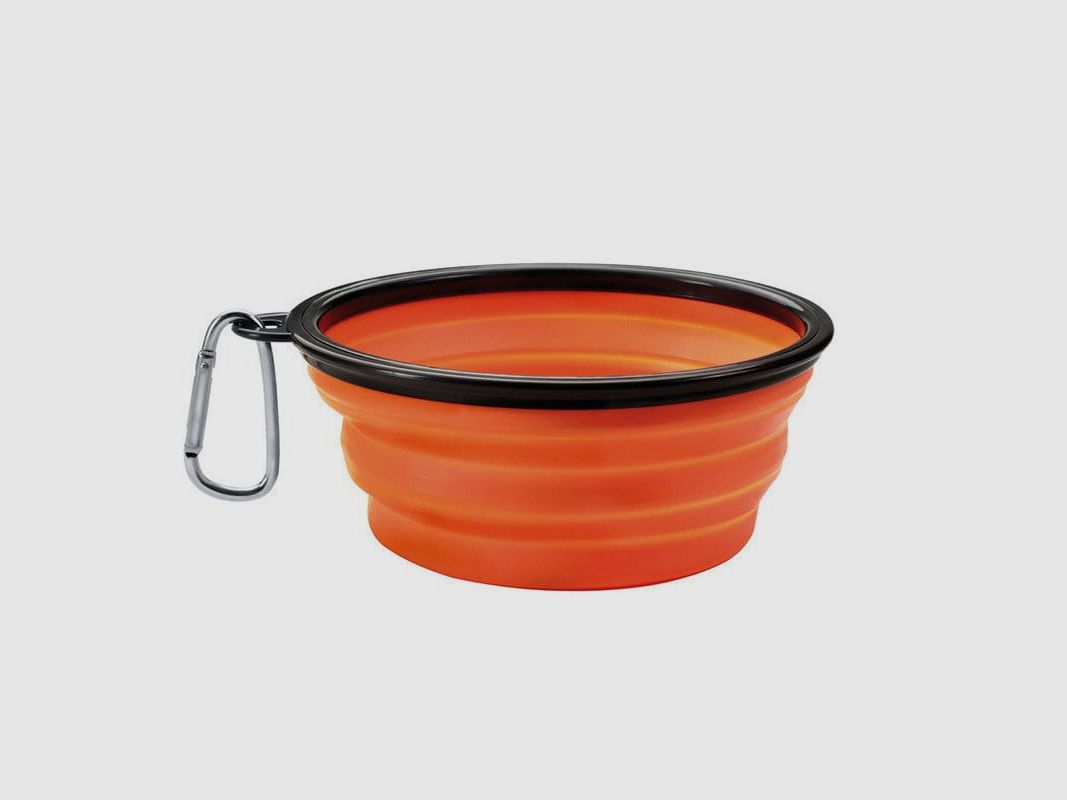 Bol de nourriture pliable