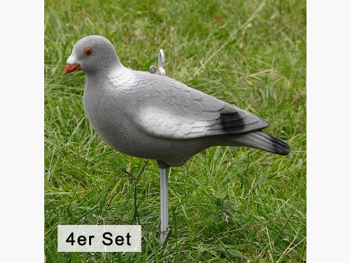 il Lago Passion Ringeltaube Vollschale beflockt (4er Set) |