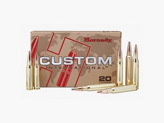 BOX MIT 20 PATRONEN HORNADY 9.3X62 286 GRS SP INTL