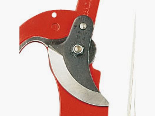 Cuchilla de repuesto para tijeras de oruga