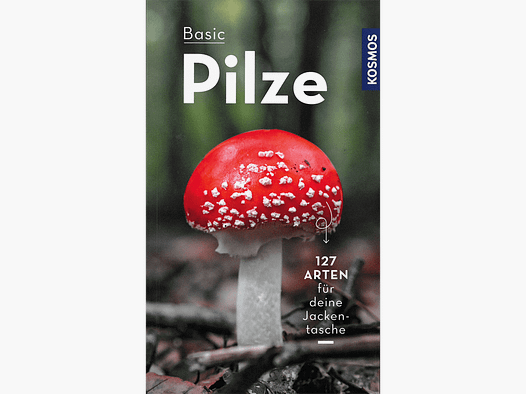 Livre "Champignons de Base"