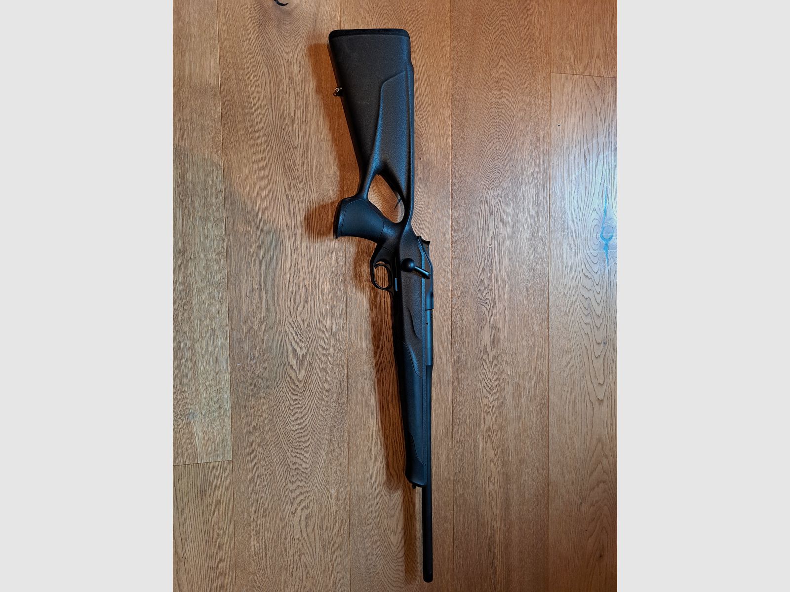 Blaser R8 professional success. 308 Win.