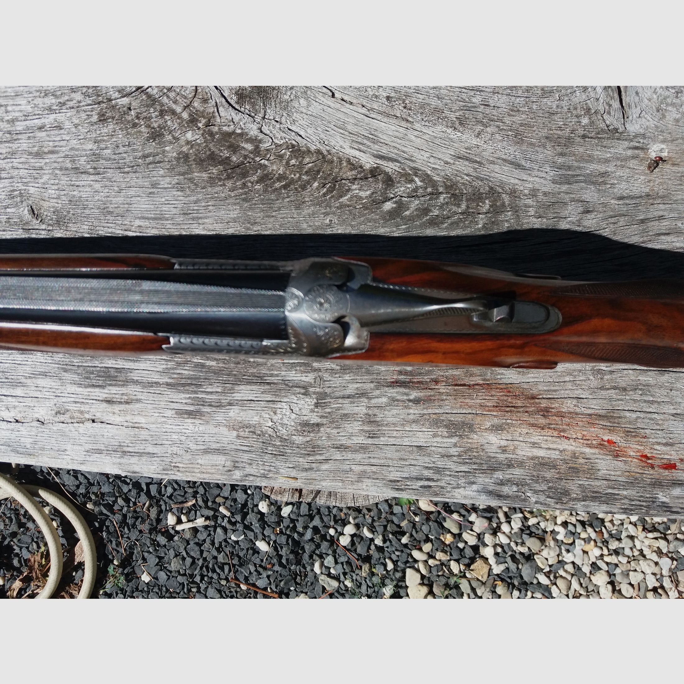 FN fusil